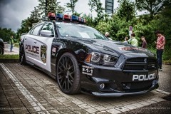 1025403_10151661022587567_2047312424_o.jpg_image_scaler_0x450