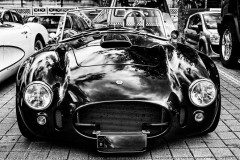976991_10151676878572567_1353487142_o.jpg_image_scaler_0x450