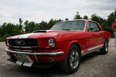 IMG_9749.JPG_image_scaler_0x450