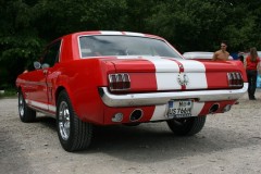 IMG_9751.JPG_image_scaler_0x450