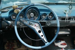 IMG_9755.JPG_image_scaler_0x450