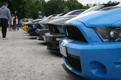 IMG_9846.JPG_image_scaler_0x450