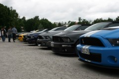 IMG_9847.JPG_image_scaler_0x450