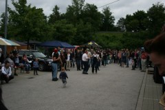 IMG_9861.JPG_image_scaler_0x450