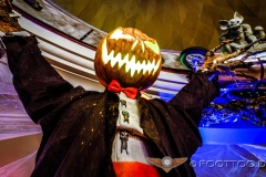 30.-Oktober-2016-DSCF3905