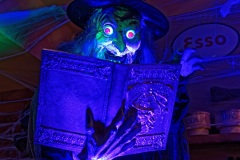 DSC08958_DxO