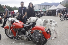 Rock-Race-23.8.-24.8.14-Tlz_2014_08_23_9999_169