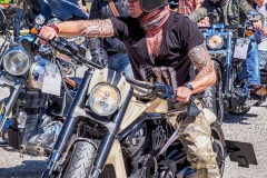 Jailhouse-Tlz-Harley-Rock-n-Race-2016-38