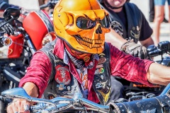 Jailhouse-Tlz-Harley-Rock-n-Race-2016-49