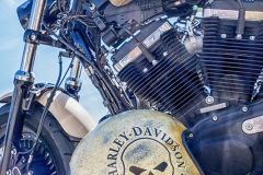 Jailhouse-Tlz-Harley-Rock-n-Race-2016-6