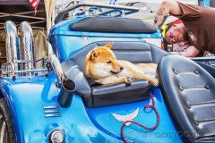Rock 'n' race - jailhouse - bad tölz - harley treffen 2016