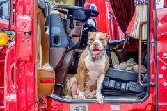 Oberland Trucker Treffen 2017