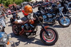 IMG_5238_DxO