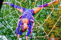 summer village 2017