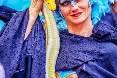 summer village 2017